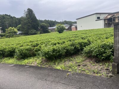 住宅用地（売地）北勢町麻生田 公簿142.91坪 要農地法手続