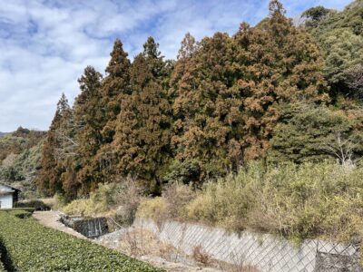キャンプ用地（売地）大安町石榑北 公簿1650.13坪 水源地隣接 車両進入不可