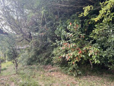 住宅用地(売地)大安町南金井 公簿43.86坪 住宅用地(売地)大安町南金井 公簿43.86坪