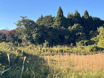 事業用地（売地）員弁町坂東新田 公募454.05坪 パネル蓄電池向け 広々お土地